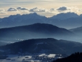 DSCF4317