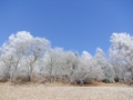 DSCF4330