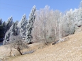 DSCF4332