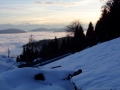 DSCF4411