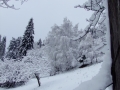 DSCF5241