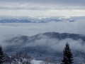 DSCF5406