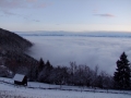 DSCF5421