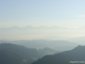 DSCF3546