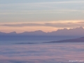 DSCF3886