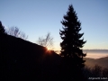 DSCF3927