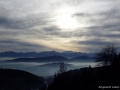 DSCF3954