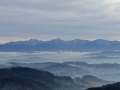 DSCF3961