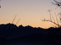 DSCF3990