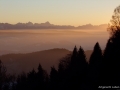 DSCF4364