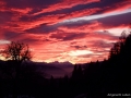 DSCF5439