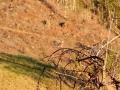 DSCF3792
