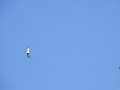 DSCF3846