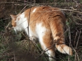DSCF5457