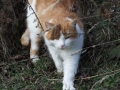 DSCF5481