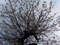 DSCF7852kl