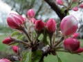 DSCF7984kl