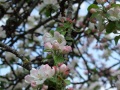 DSCF8008kl