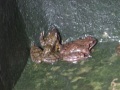 DSCF7735kl