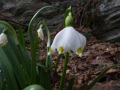 DSCF8963kl