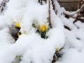 DSCF8973kl