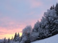 DSCF8992kl