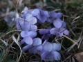 DSCF9007kl