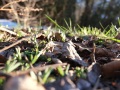 DSCF9014kl