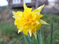 DSCF9027kl