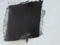 DSCF9124kl