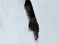DSCF9125kl