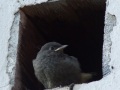 DSCF9153kl