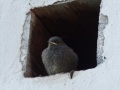 DSCF9154kl