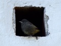 DSCF9161kl