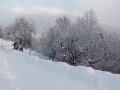 20210106_151648kl