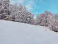 20210106_151943kl