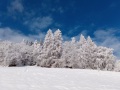 20210108_140023kl