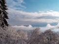 20210108_143447kl