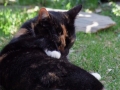 DSCF4723kl