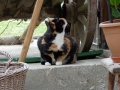 DSCF4912kl