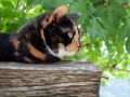 DSCF4959kl