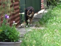 DSCF5164kl