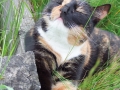 DSCF5996kl