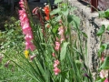 DSCF6088kl