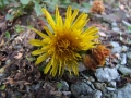 DSCF6557kl