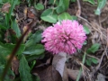 DSCF6563kl
