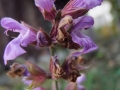 DSCF6571kl