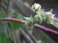 DSCF6574kl