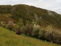 20210512_183439kl