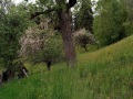 20210522_165953kl